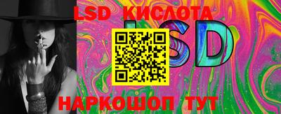 шишки Тара