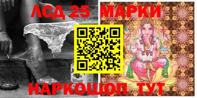 шишки Тара