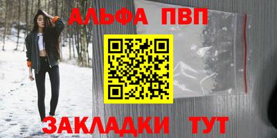 шишки Тара