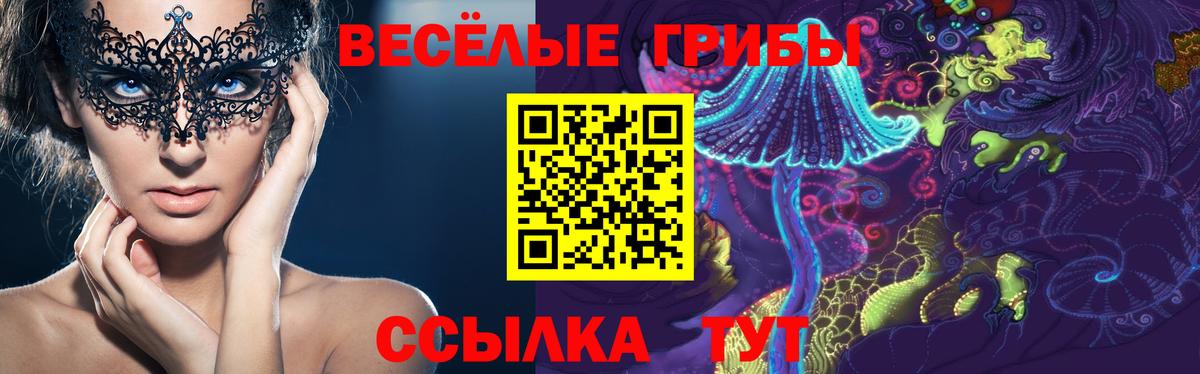 Псилоцибиновые грибы GOLDEN TEACHER  Вход с VPN  Новочеркасск 